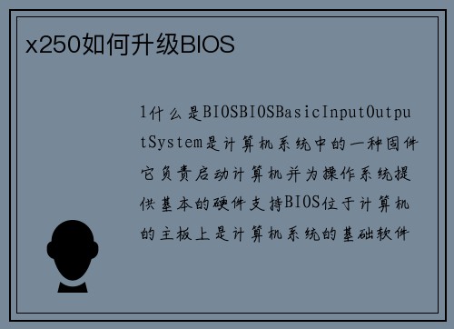 x250如何升级BIOS